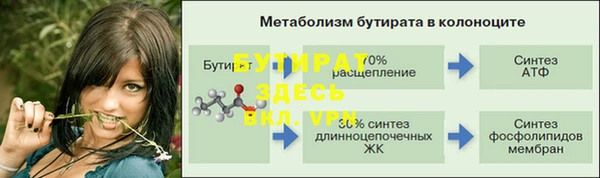 шишки Абаза