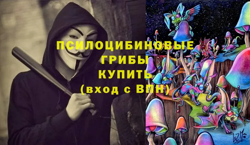 где продают   Анадырь  Галлюциногенные грибы Magic Shrooms 